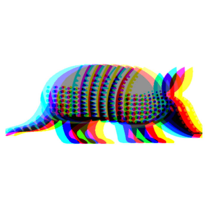 Home With The Armadillo