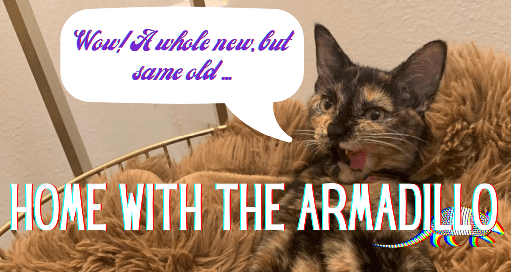 It’s Migration Season with the&nbsp;Armadillo