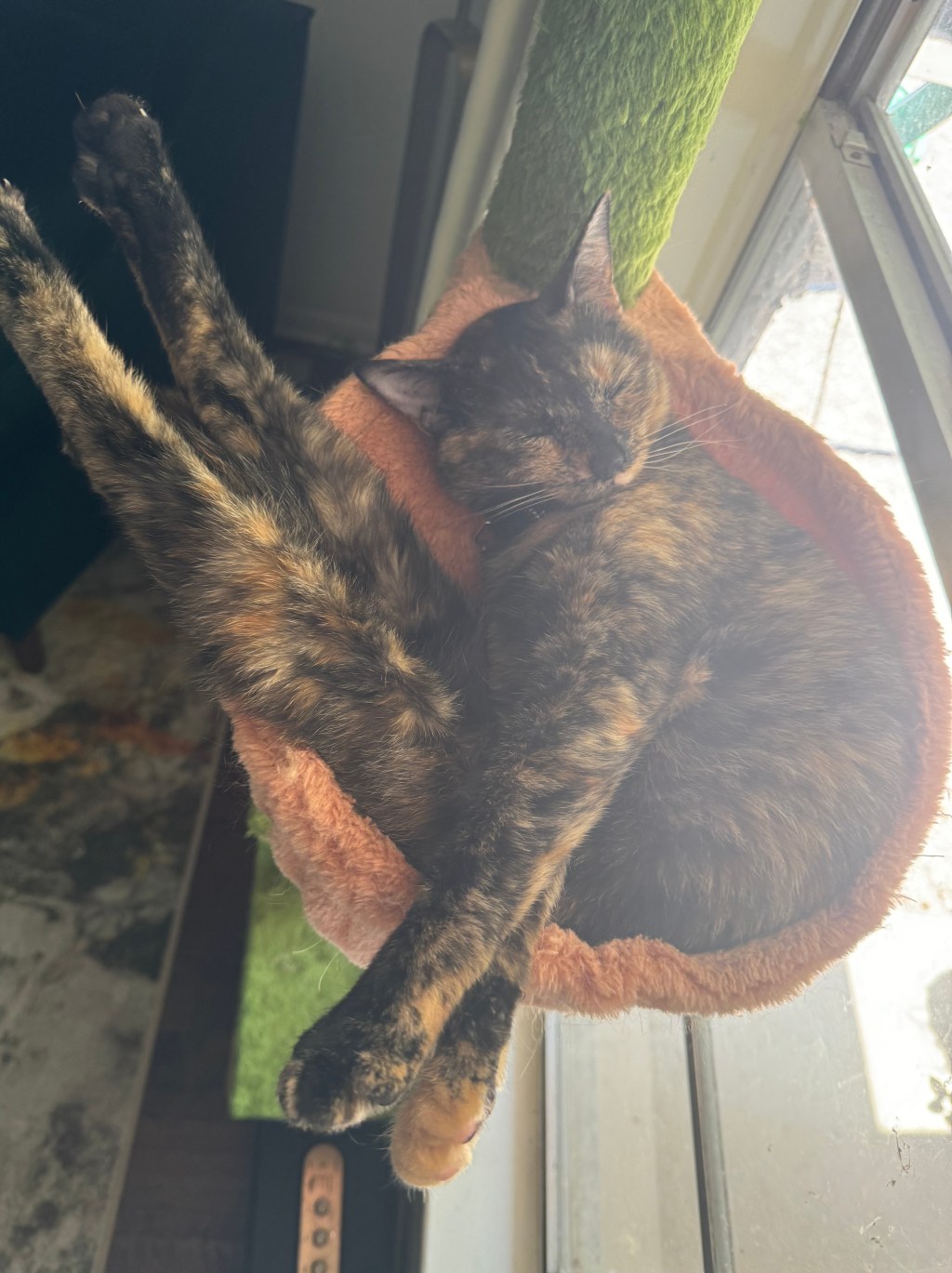 A Living Compendium Of Stuff That’s Just&nbsp;Nice